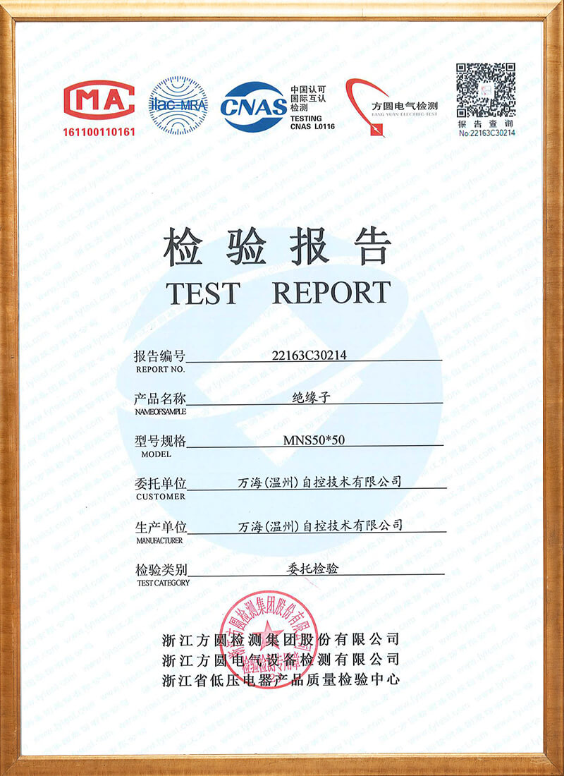 Inspection Report of MNS50 Insulator