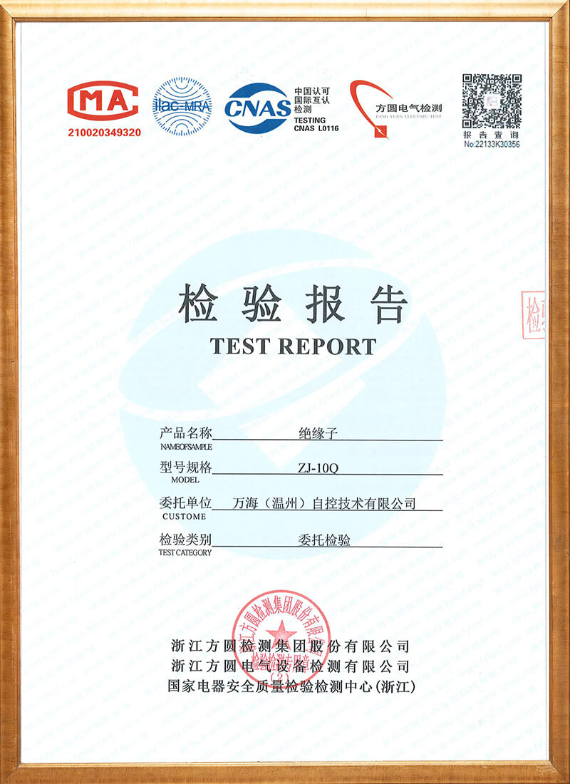ZJ-10Q Inspection Report of Insulator